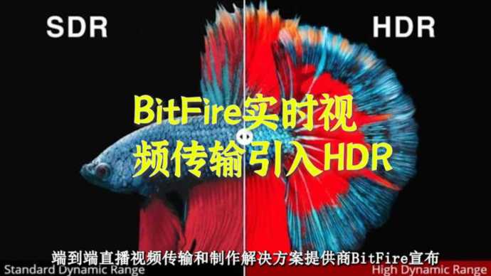 BitFire实时视频传输引入HDR